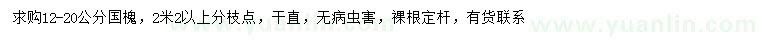 求購12-20公分國(guó)槐