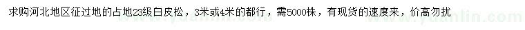 求購3、4米白皮松