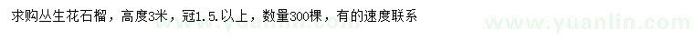 求購(gòu)高3米叢生花石榴