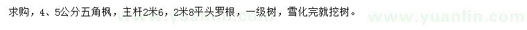 求購4、5公分五角楓