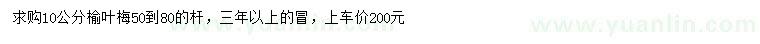 求購10公分榆葉梅