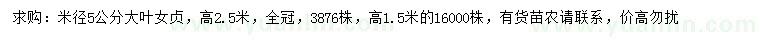求購米徑5公分大葉女貞
