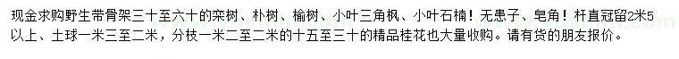 求購(gòu)欒樹、樸樹、榆樹等