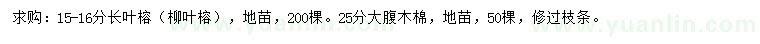 求購15-16公分長(zhǎng)葉榕（柳葉榕）、25公分大腹木棉
