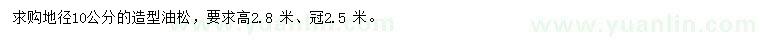 求購地徑10公分造型油松