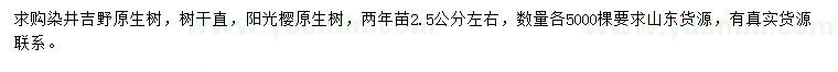 求購(gòu)2.5公分左右染井吉野