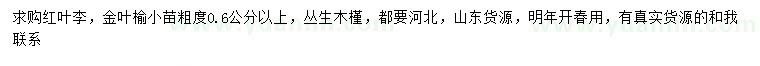 求購0.6公分以上紅葉李