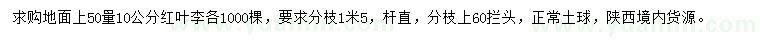 求購(gòu)50量10公分紅葉李