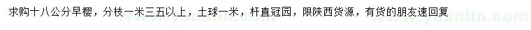 求購18公分早櫻