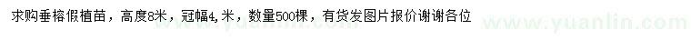 求購高8米垂榕假植苗