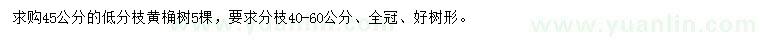 求購45公分低分枝黃桷樹