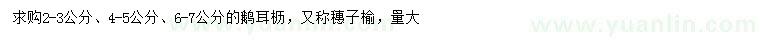 求購2-3、4-5、6-7公分鵝耳櫪