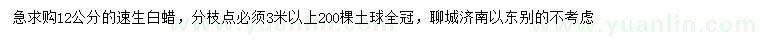 求購12公分速生白蠟
