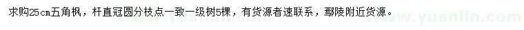 求購(gòu)25公分五角楓