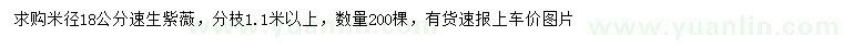 求購米徑18公分速生紫薇