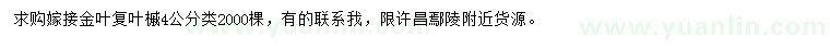 求購4公分嫁接金葉復(fù)葉槭