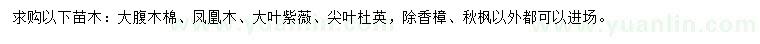求購(gòu)大腹木棉、鳳凰木、大葉紫薇等