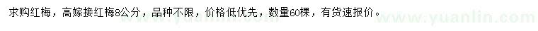 求購(gòu)8公分高嫁接紅梅