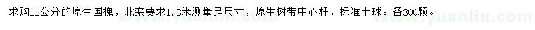 求購1.3米量11公分國槐、北欒