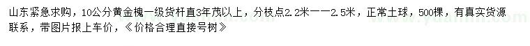 求購10公分黃金槐