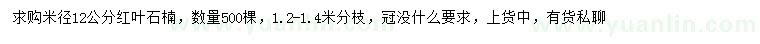 求購米徑12公分紅葉石楠