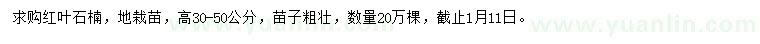 求購(gòu)高30-50公分紅葉石楠