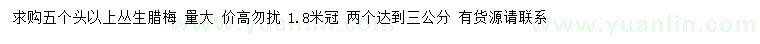 求購5個頭以上叢生臘梅