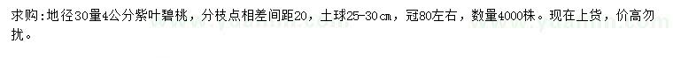 求購地徑30公分量4公分紫葉碧桃