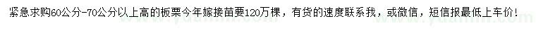 求購高60-70公分以上板栗