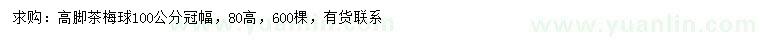 求購(gòu)冠幅100公分高腳茶梅球