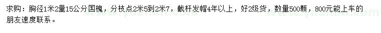 求購(gòu)胸徑1.2米量15公分國(guó)槐