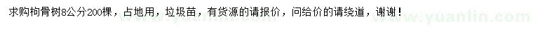求購(gòu)8公分枸骨樹