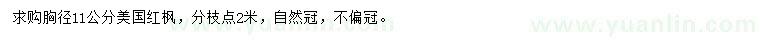 求購胸徑11公分美國紅楓