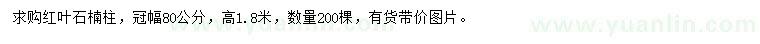 求購冠幅80公分紅葉石楠柱