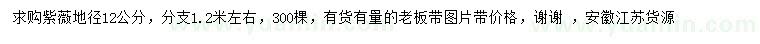 求購(gòu)地徑12公分紫薇