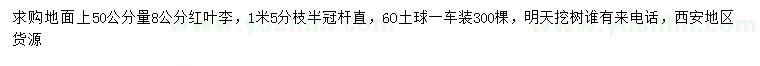 求購50公分量8公分紅葉李