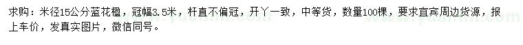 求購米徑15公分藍花楹