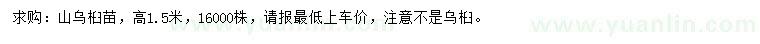 求購高1.5米山烏桕苗
