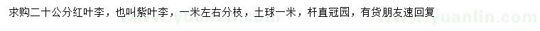 求購20公分紅葉李