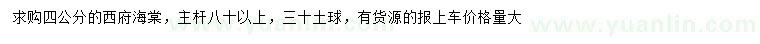 求購4公分西府海棠