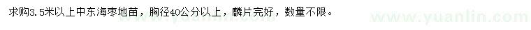 求購胸徑40公分以上中東海棗