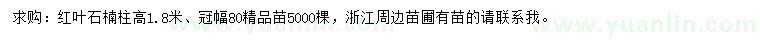 求購高1.8米紅葉石楠柱