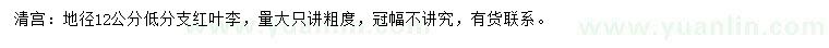 求購(gòu)地徑12公分紅葉李