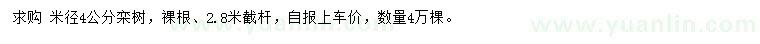 求購米徑4公分欒樹