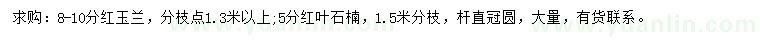 求購8-10公分紅玉蘭