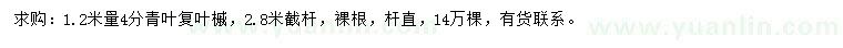 求購1.2米量4分青葉復葉槭