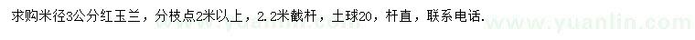 求購米徑3公分紅玉蘭