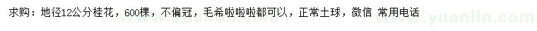 求購地徑12公分桂花