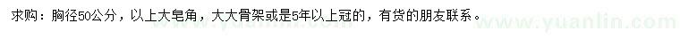 求購胸徑50公分以上大皂角