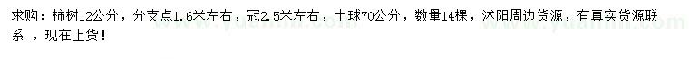 求購12公分柿樹
